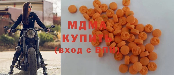 индика Богородск