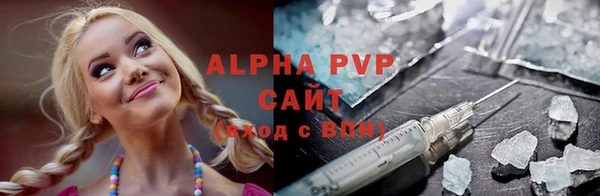 индика Богородск