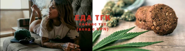 индика Баксан