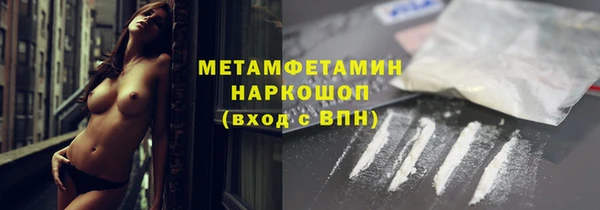 индика Богородск