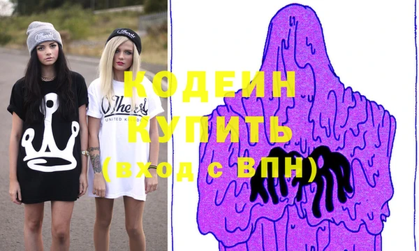 индика Богородск