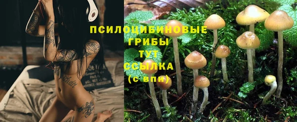 ECSTASY Богданович