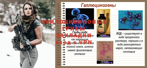 a pvp Беломорск
