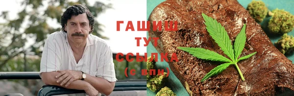 ГАЛЛЮЦИНОГЕННЫЕ ГРИБЫ Белоозёрский