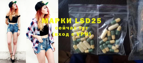 ECSTASY Богданович