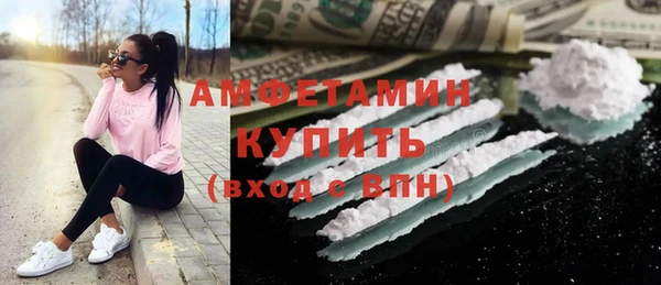 индика Богородск