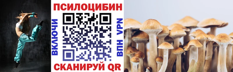 цена наркотик  Мамадыш  Псилоцибиновые грибы мицелий 